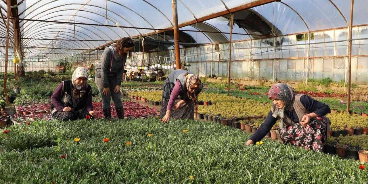 Muğla’da kadınlar üreterek güçleniyor
