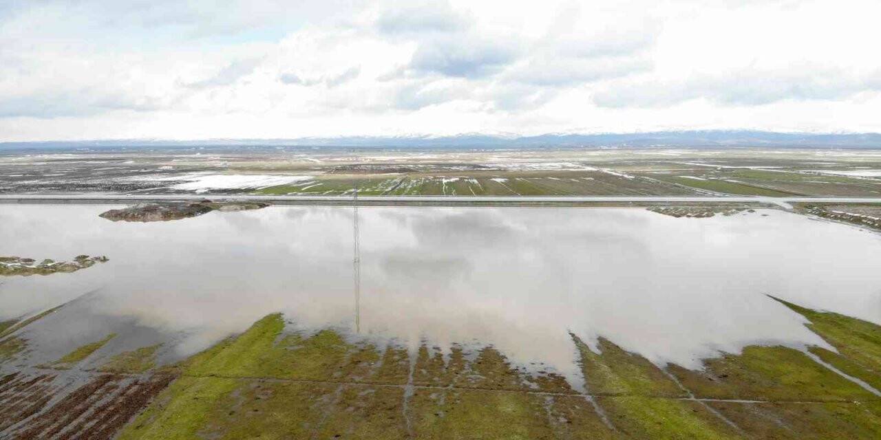 Muş Ovasındaki bazı tarım arazileri ve hayvan çiftlikleri su altında kaldı