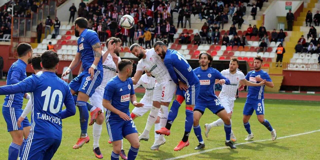 TFF 3. Lig: Gümüşhane Sportif Faaliyetler: 1 - Fethiyespor: 1
