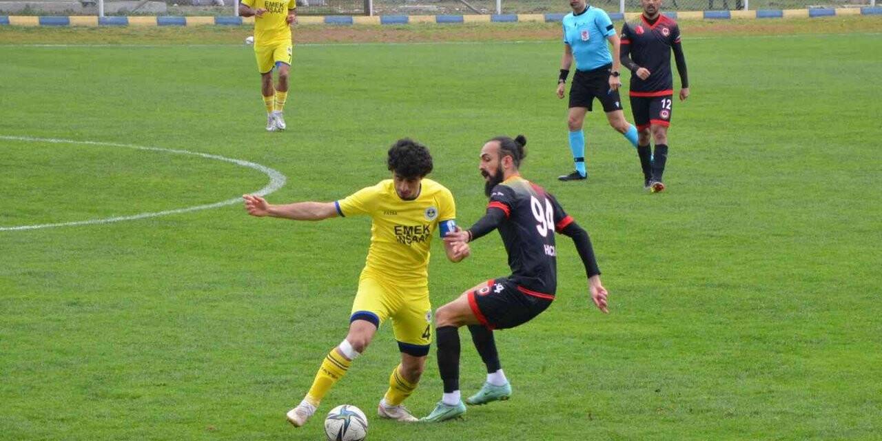 TFF 3. Lig: Fatsa Belediyespor: 5 - Başkent Gözgözler Akademi FK: 1