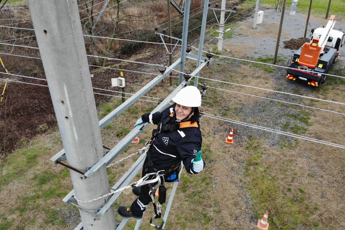 Onu elektrik direği üzerinde gören dönüp bir daha bakıyor