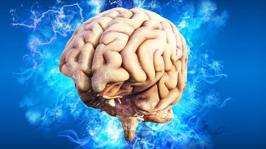Kovid-19 geçirenlerin beyin boyutunda küçülme gözlemlendi