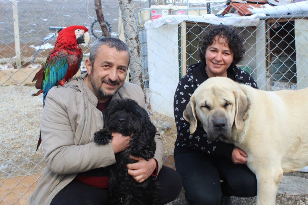 30'dan fazla hayvana sahip çıkıyorlar