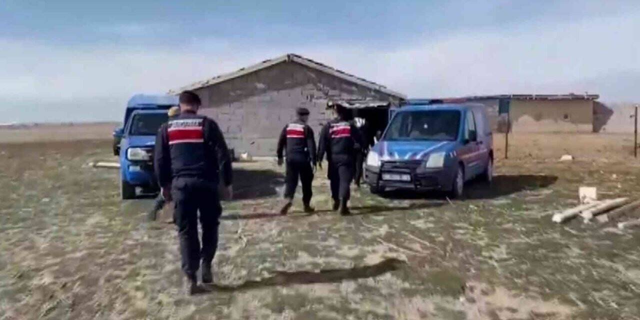 Çaldıkları koyunların parasını ödeyince serbest kaldılar