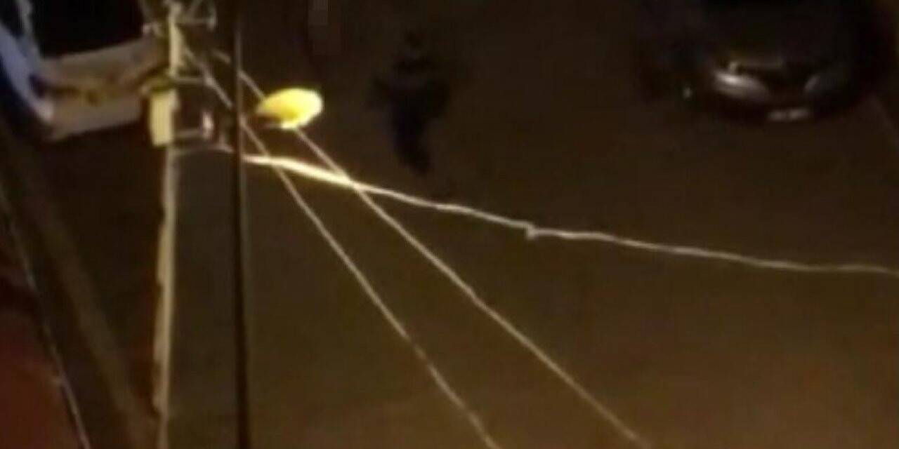 Çıplak vatandaşa meydan dayağı