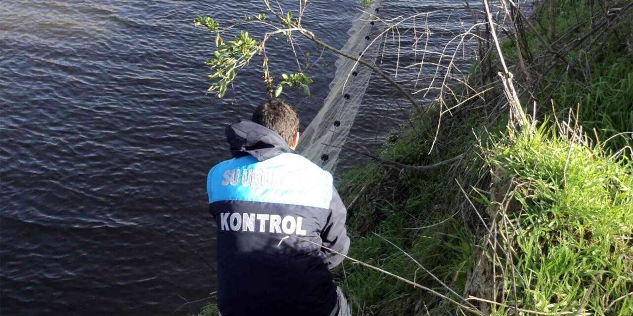 İç sularda sazangiller ve yayın balığı yasağı başladı