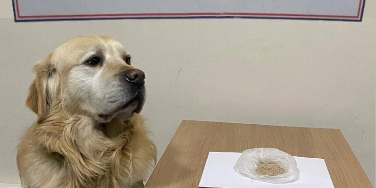 Başkent’teki uyuşturucu operasyonlarında 9 gözaltı