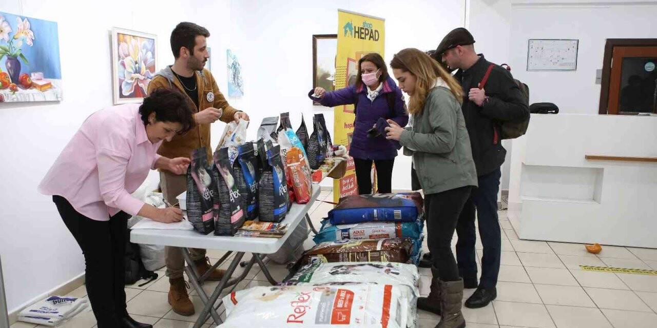 Bilet yerine mama aldılar