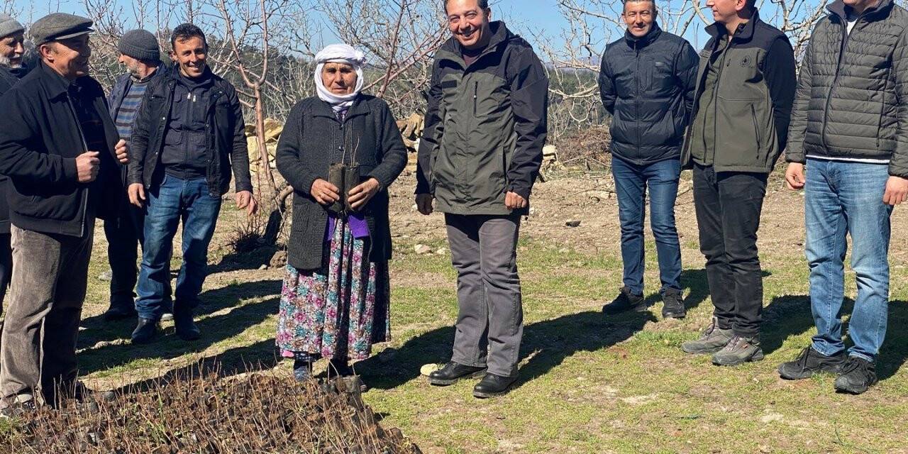 Antep fıstıkları ormanla buluştu