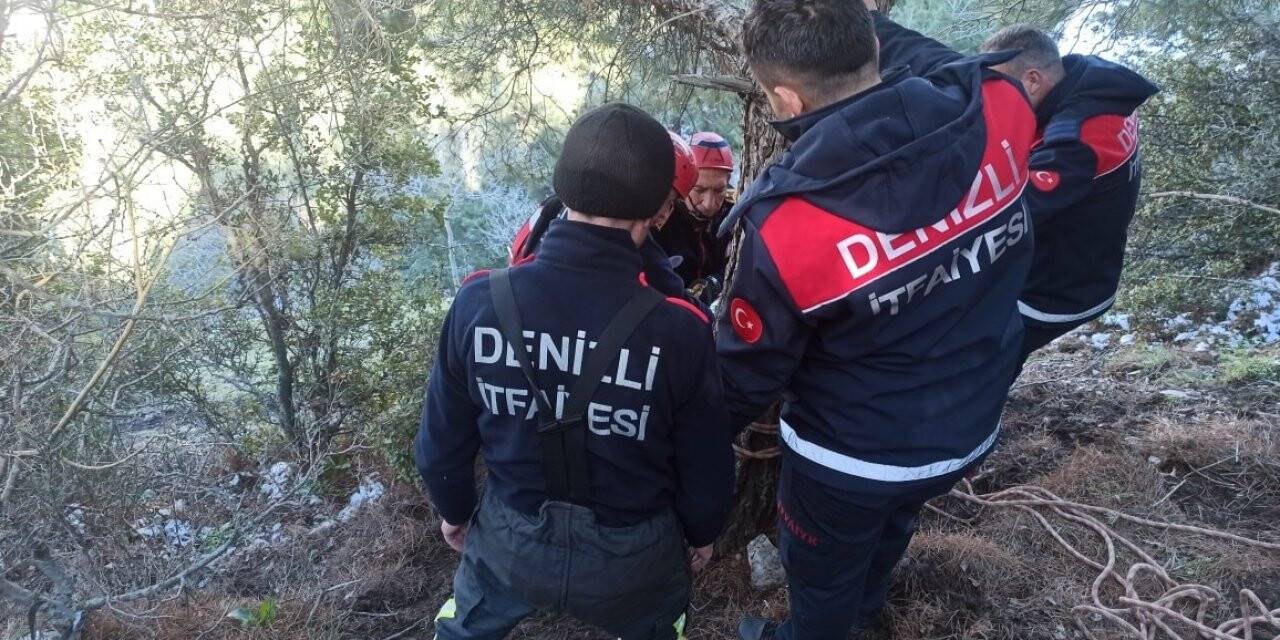 Uçurumda mahsur kalan 4 keçi kurtarıldı