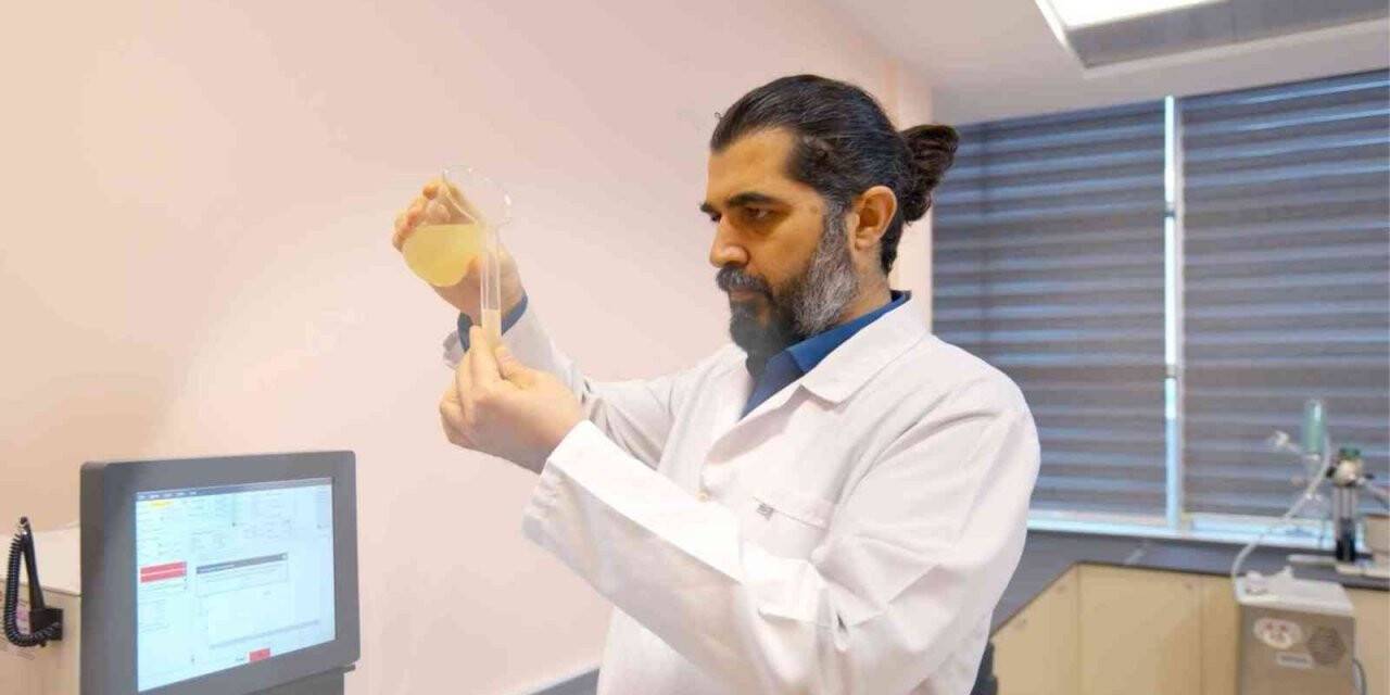 Türkiye’de bir ilk: "Propolis zeytinyağında çözülüyor"