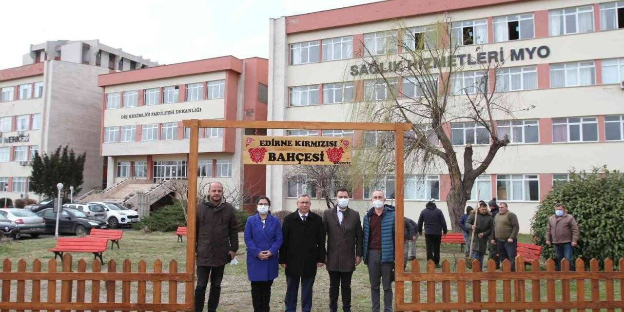 Osmanlı’dan kalma Edirne Kırmızısına özel bahçe hazırlandı