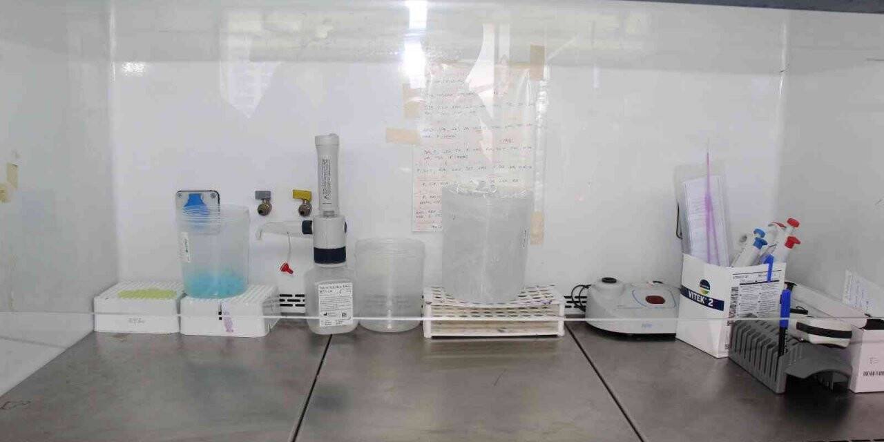 Yanlış kullanımda sağlığa zarar veren antibiyotiklerin dünyada ekonomiye maliyeti 100 trilyon dolar olarak ön görülüyor