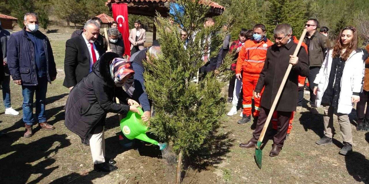 Bu fidanlar şehitlerin adıyla büyüyecek