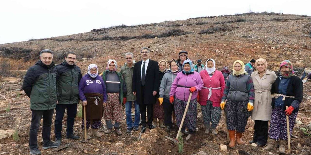 Muğla’da Şehit Yakınları Şehitler anısına fidan dikti