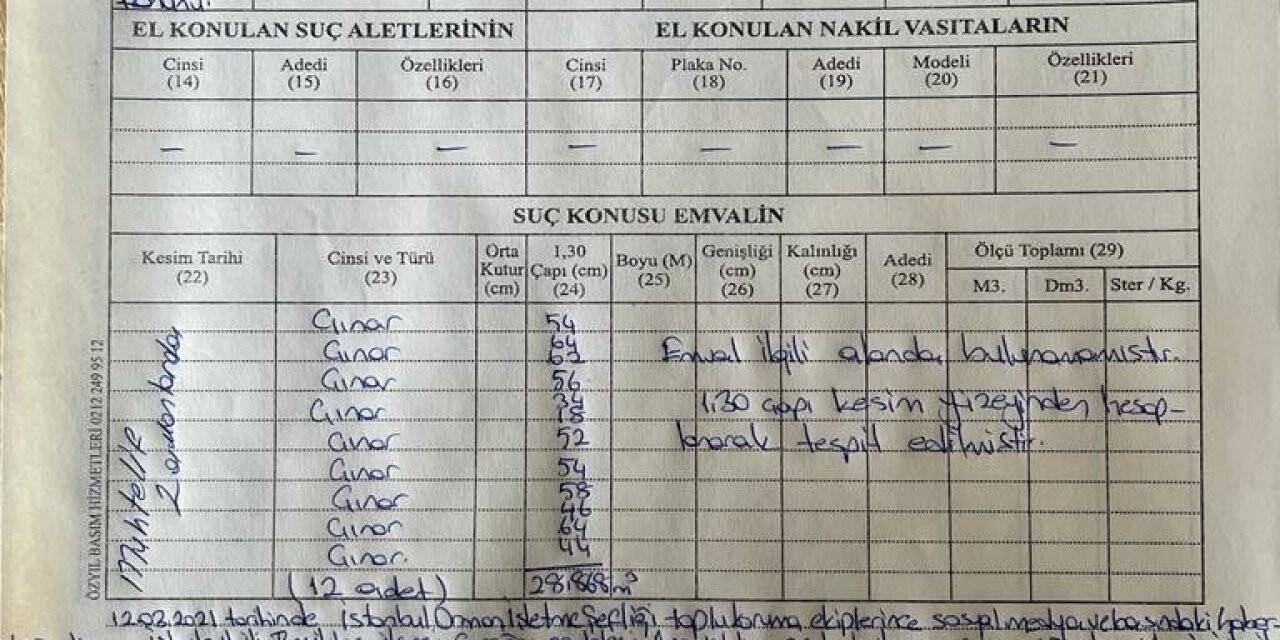 Çırağan Caddesi’nde kesilen 112 çınar ağacı için İBB’ye para cezası