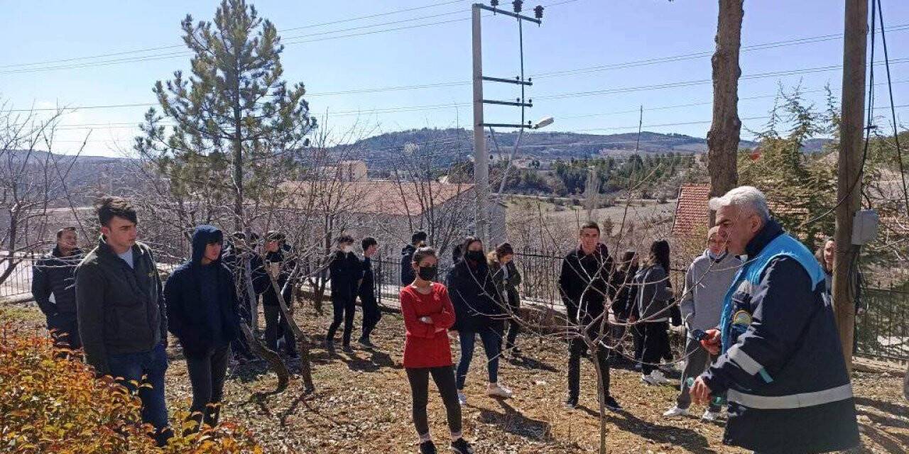 Öğrencilere meyve bahçelerinde bakım, budama ve gübreleme eğitimi