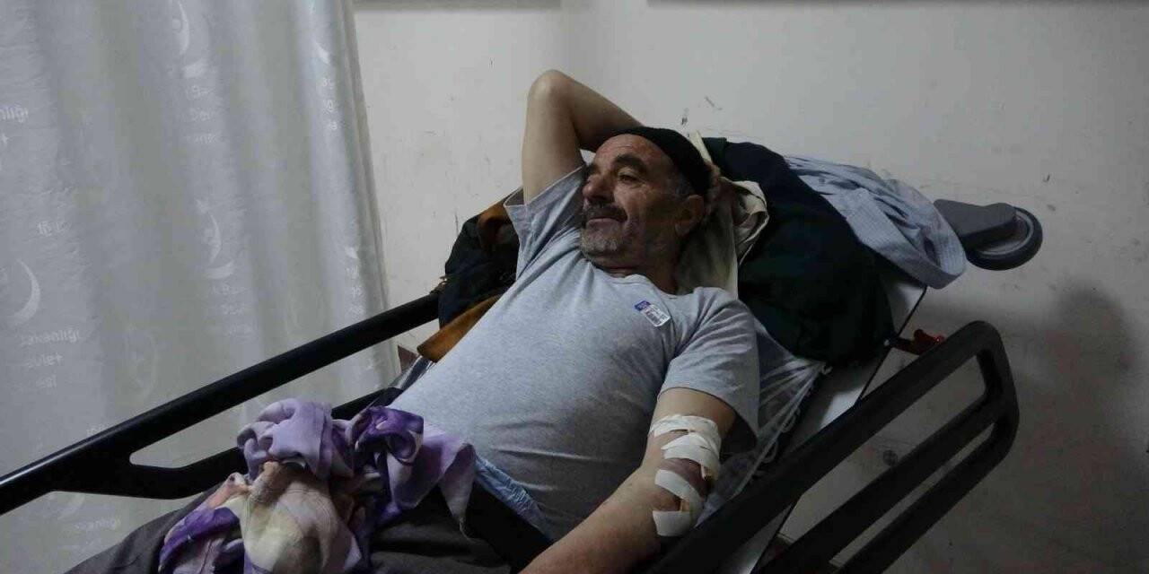 Köpek saldırısına uğrayan yaşlı adam helikopterle hastaneye kaldırıldı