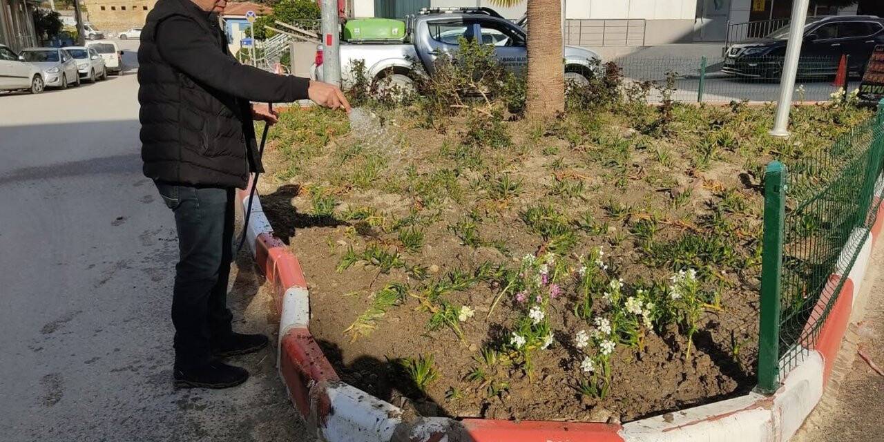 Samandağ’da çevre düzenlemesi çalışmaları