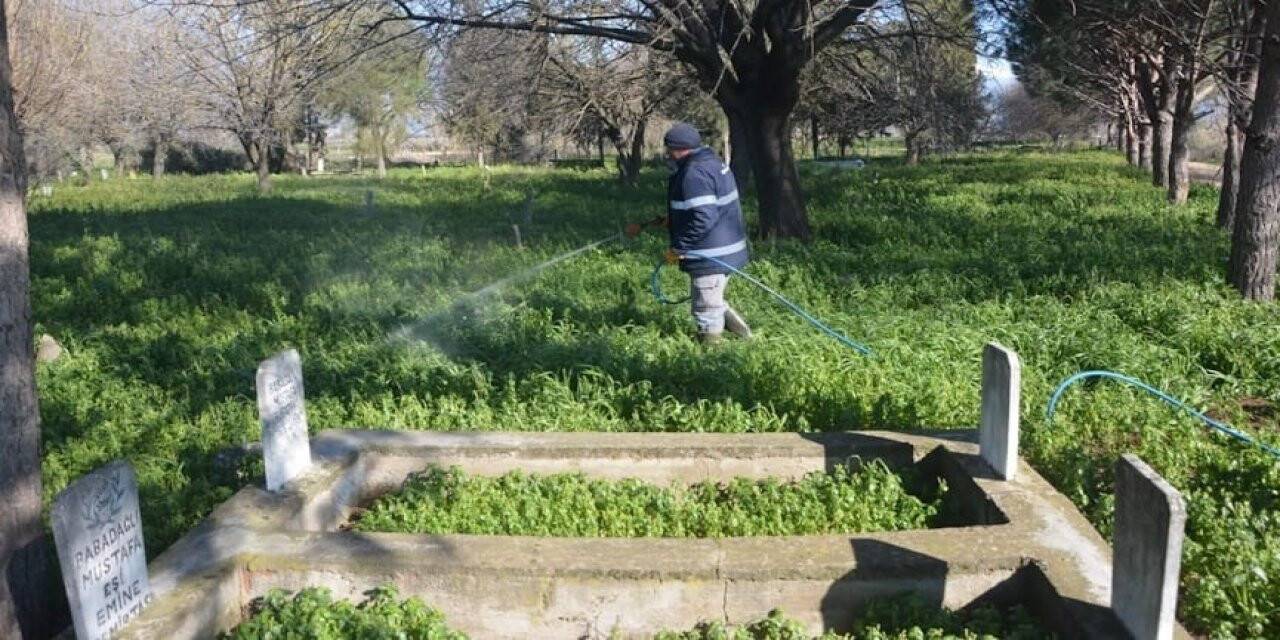 Köşk Belediyesi, yabani otla mücadeleye başladı