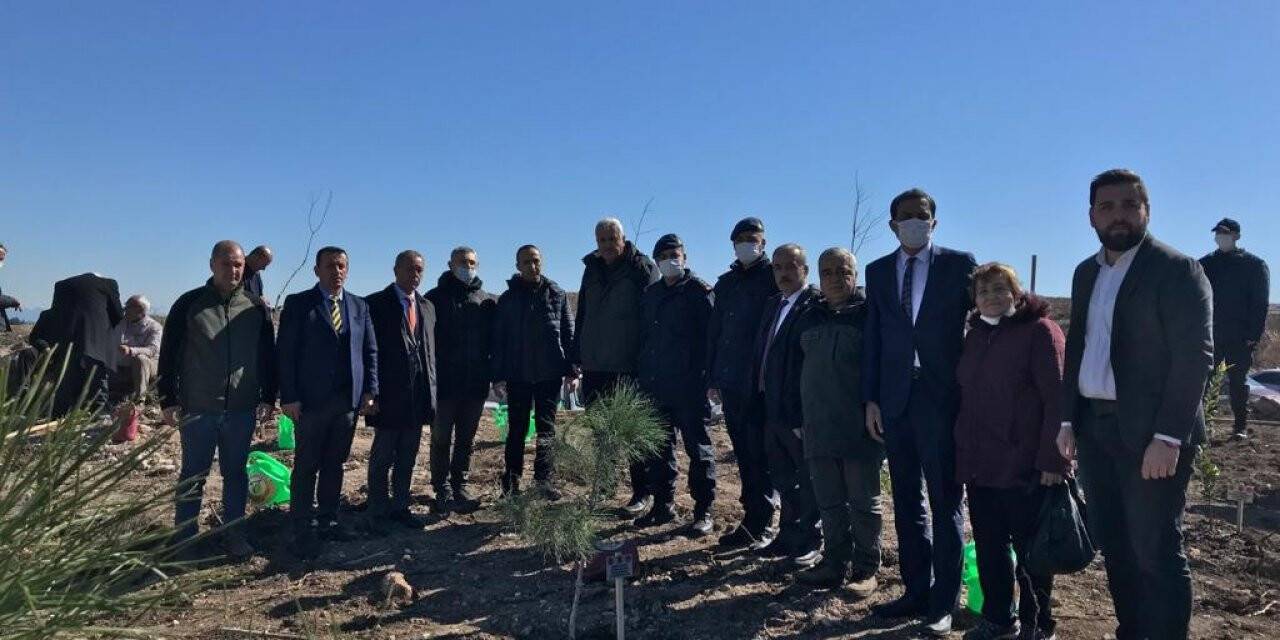 Yanan ormanlık alanı şehit yakınları ve gaziler yeşillendirdi