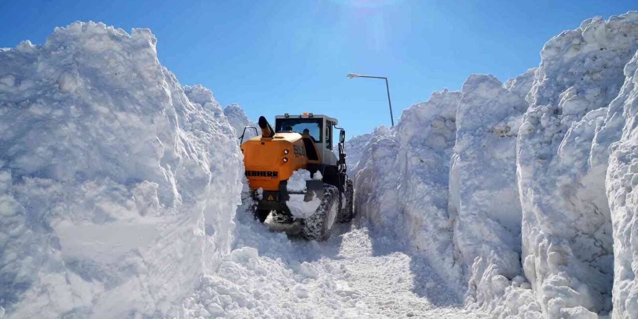 Muş’ta 5 metrelik karda yol açma çalışması