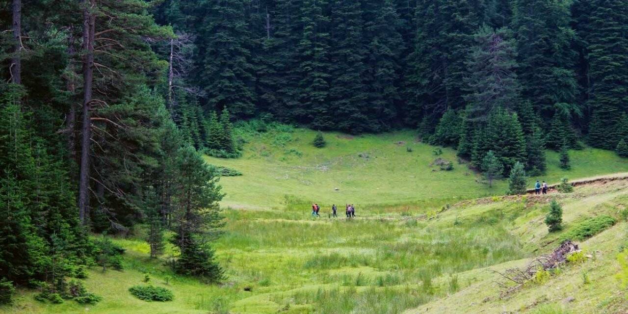 Düzce’de yeşil alan yüzde 45’e düştü