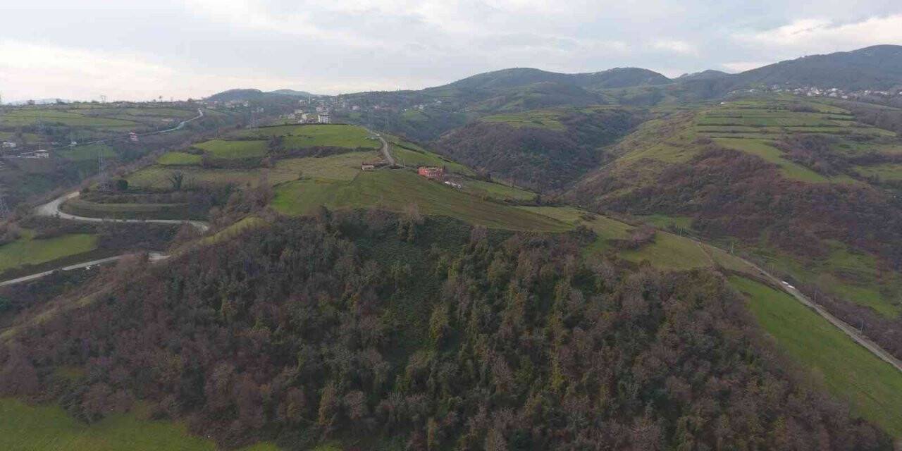 ’Masal Ormanı Projesi’ hayata geçiyor