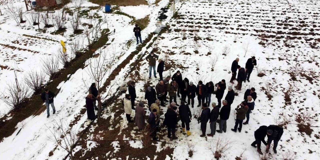 Türkiye’deki yaban mersininin üçte biri Bursa’da üretiliyor