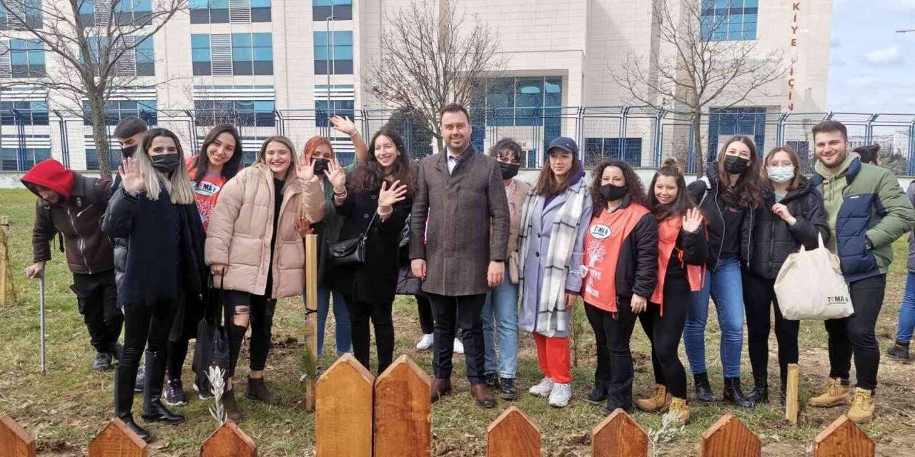 Sağlık Kültür ve Spor Başkanlığı fidanları toprakla buluşturuyor