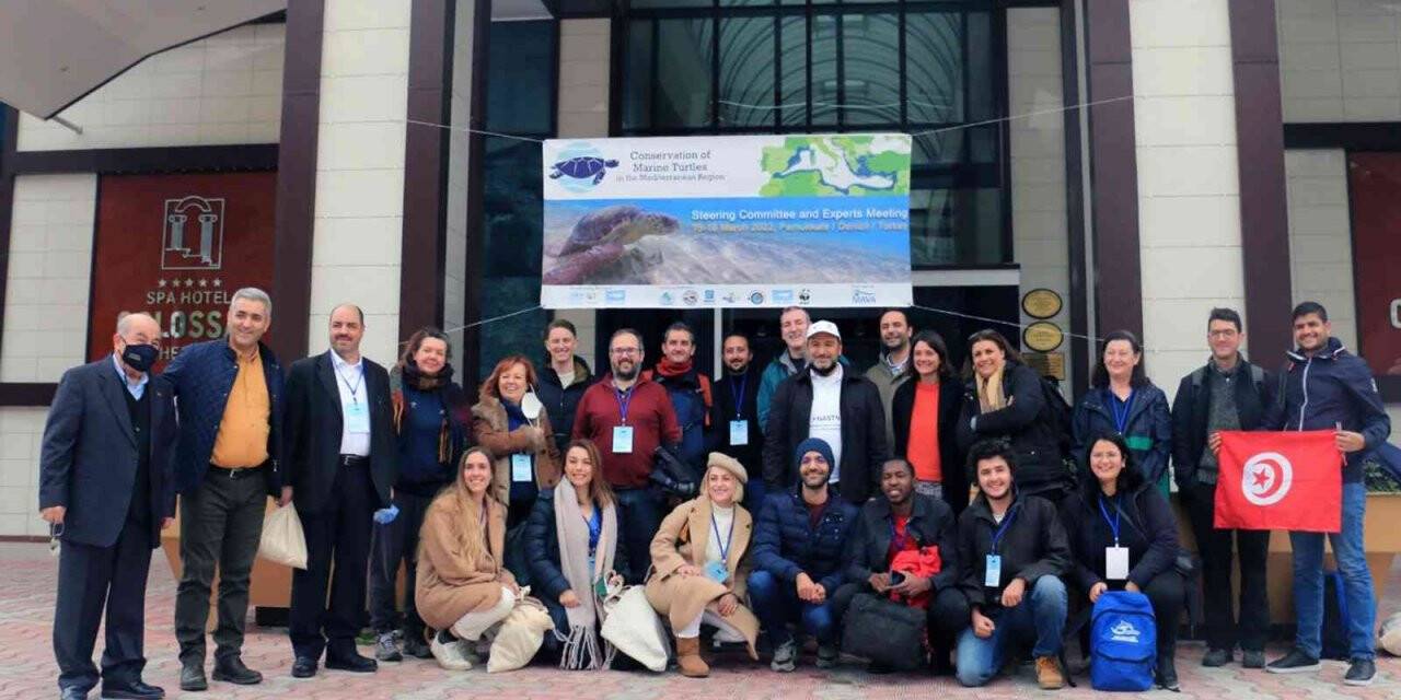 Deniz kaplumbağalarının korunması için bir araya geldiler