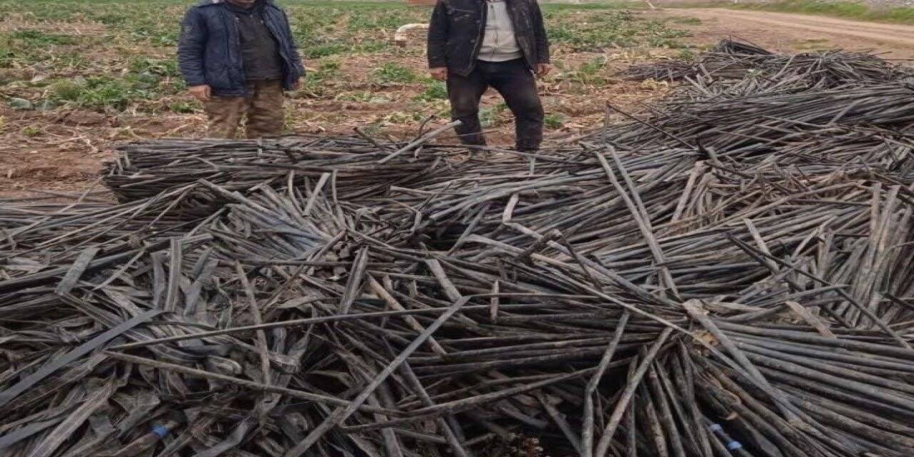 Tarladaki sulama borularını çalarken suçüstü yakalandılar