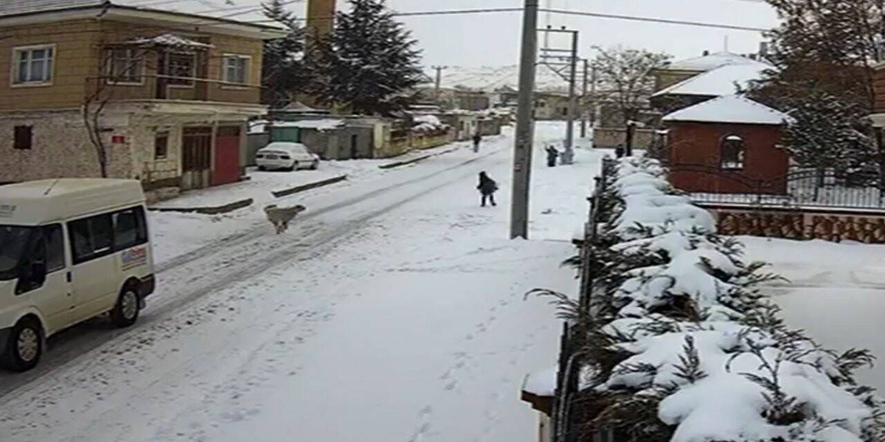 8 yaşındaki çocuğa köpek saldırısı kamerada