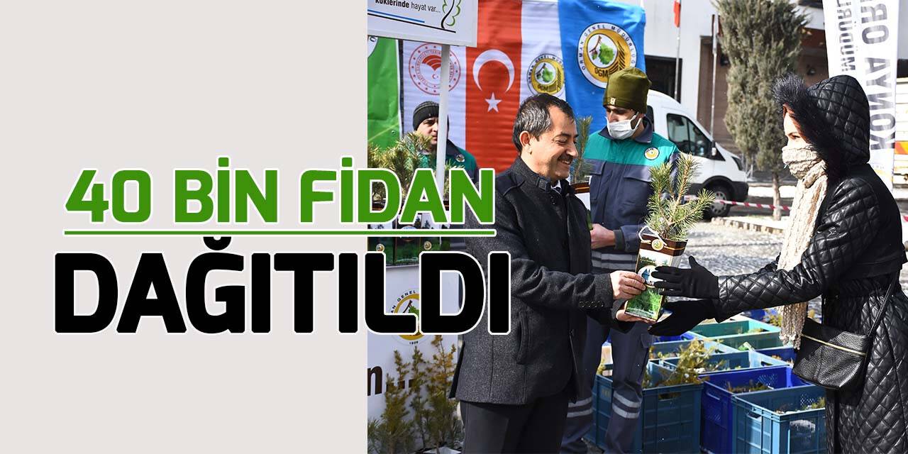 Konya'da 40 bin karaçam ve sedir fidanı dağıtıldı