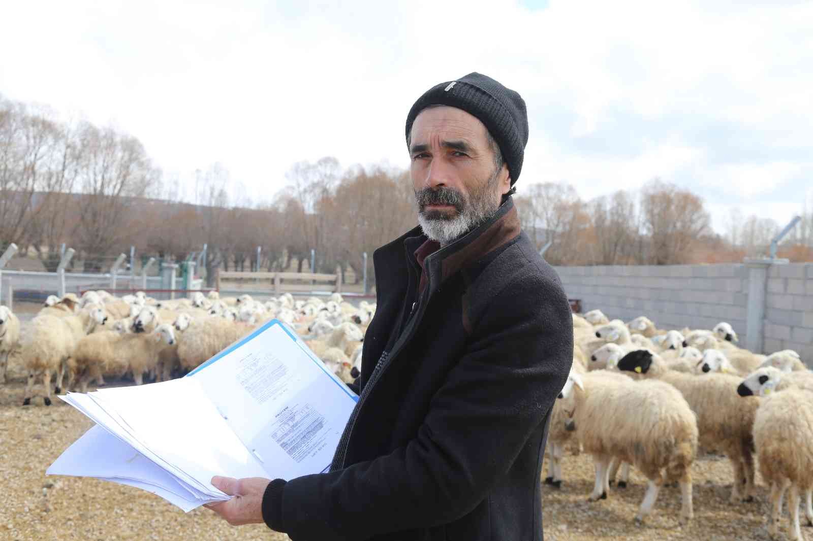 220 koyunu telef oldu, yem firmasından şikayetçi