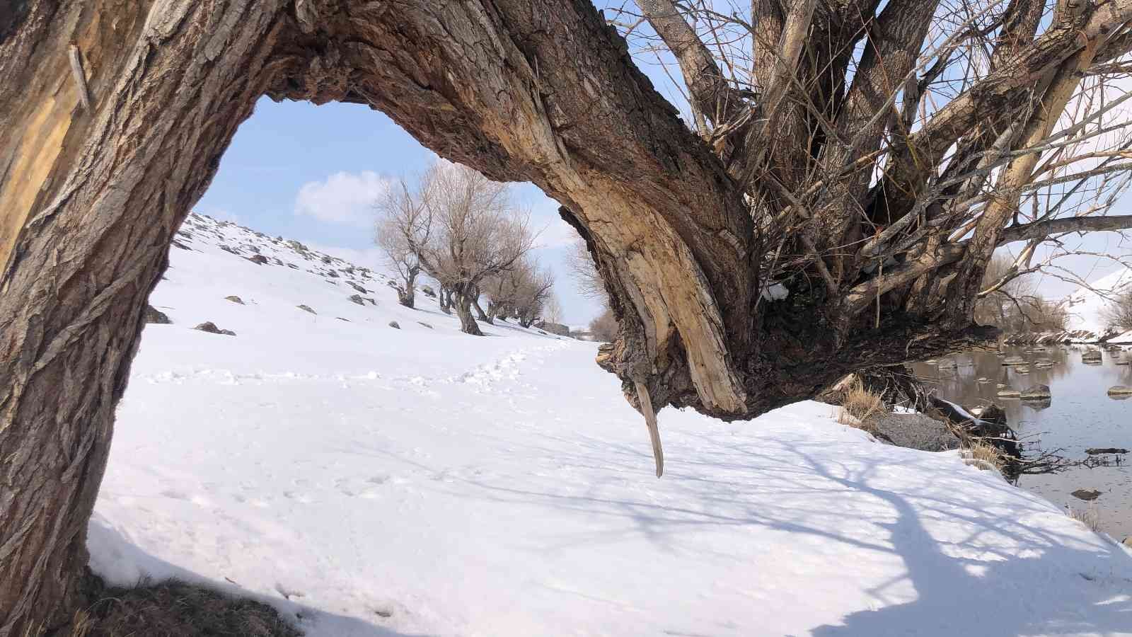 Kars’ta kartpostallık kış manzarası
