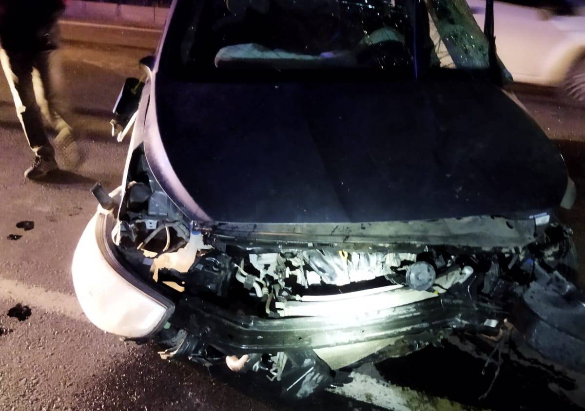 Genç veteriner kazada yaşamını yitirdi