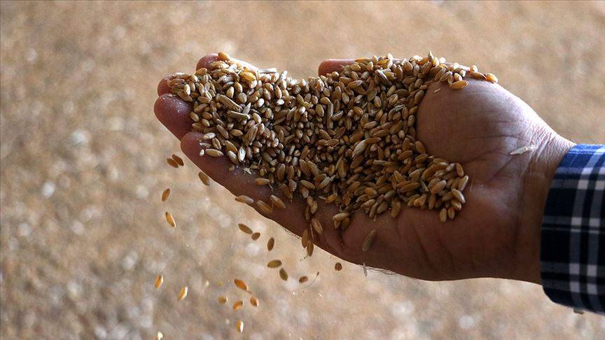 Tohumda KDV'nin yüzde 1'e düşürülmesinin üretimi artırması bekleniyor