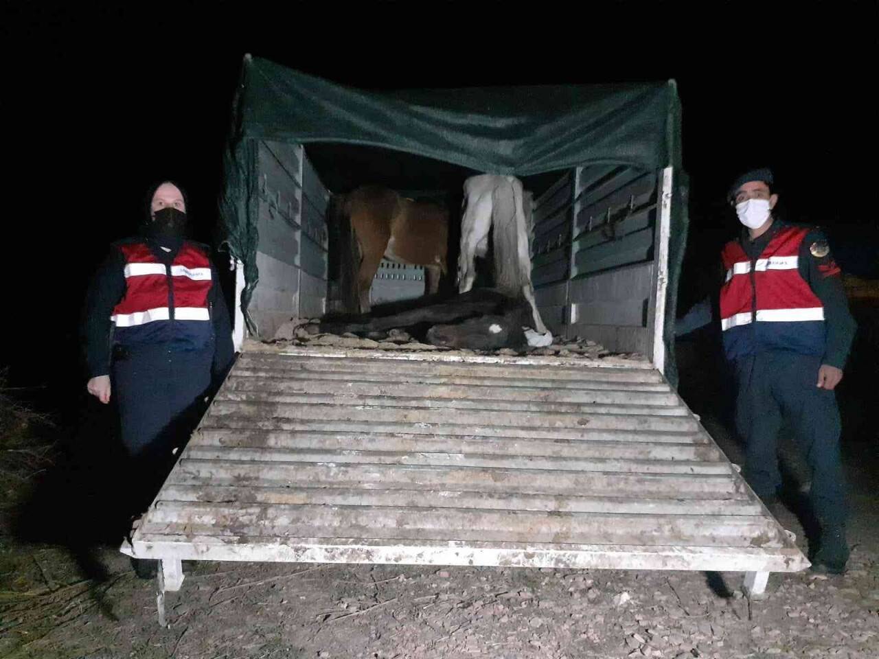 Eşek kesip piyasaya sürmeye çalışanlara jandarmadan suçüstü