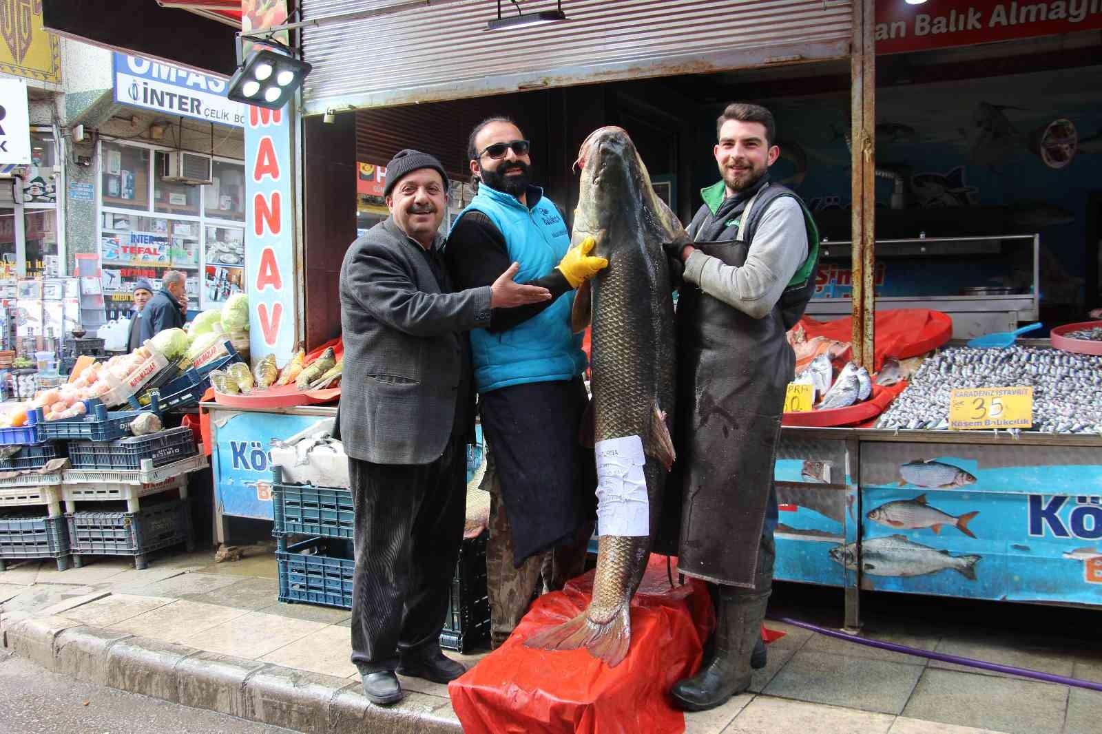 Dev turna balığı 103 kilogram