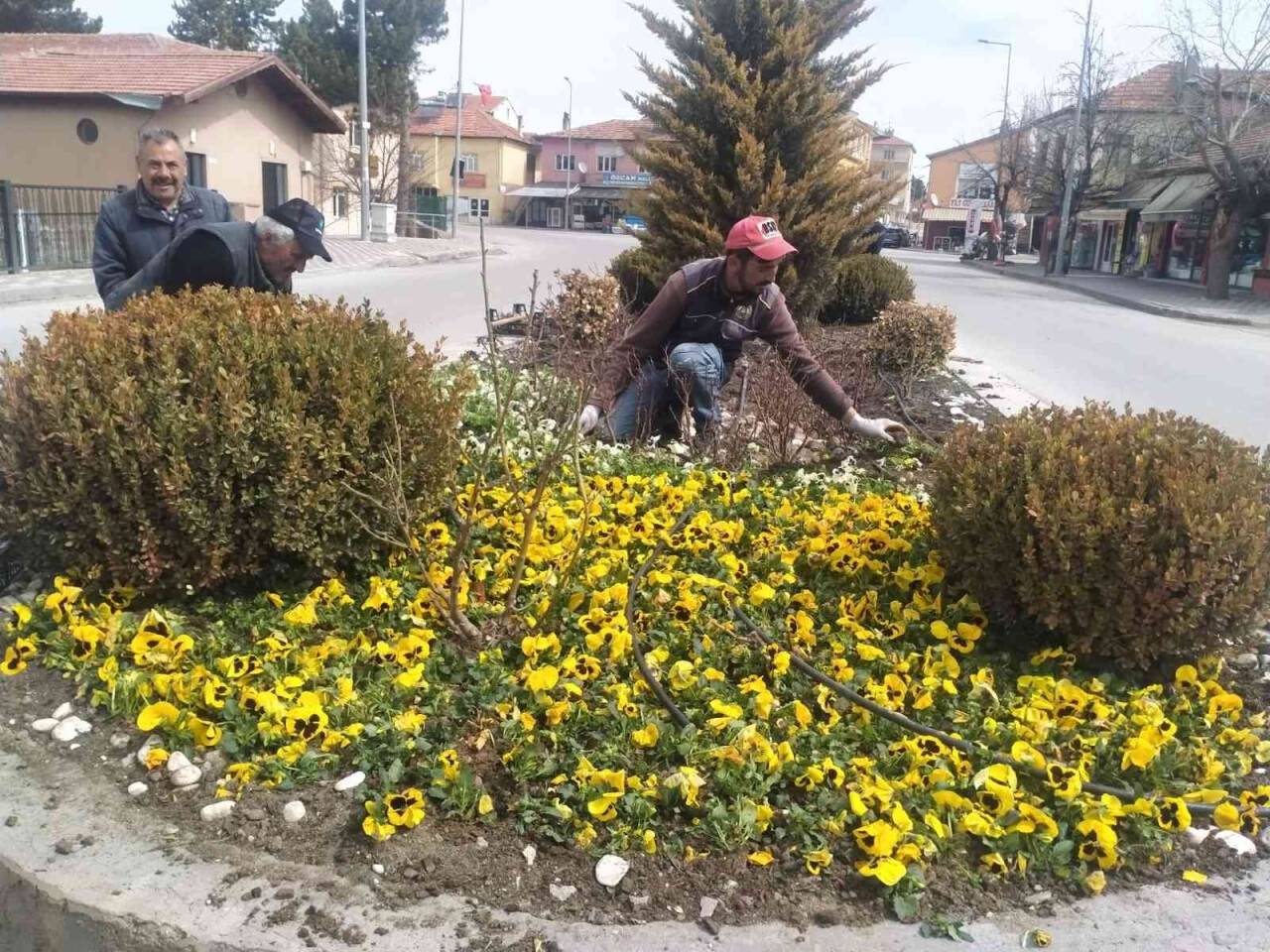 Çiçeklerle donatılan Bünyan, rengarenk oldu