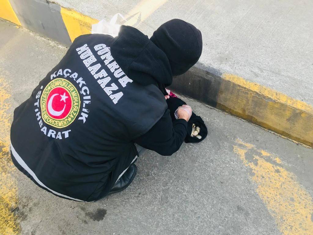 Sarp Sınır Kapısı’nda bin 100 adet su kaplumbağası ele geçirildi