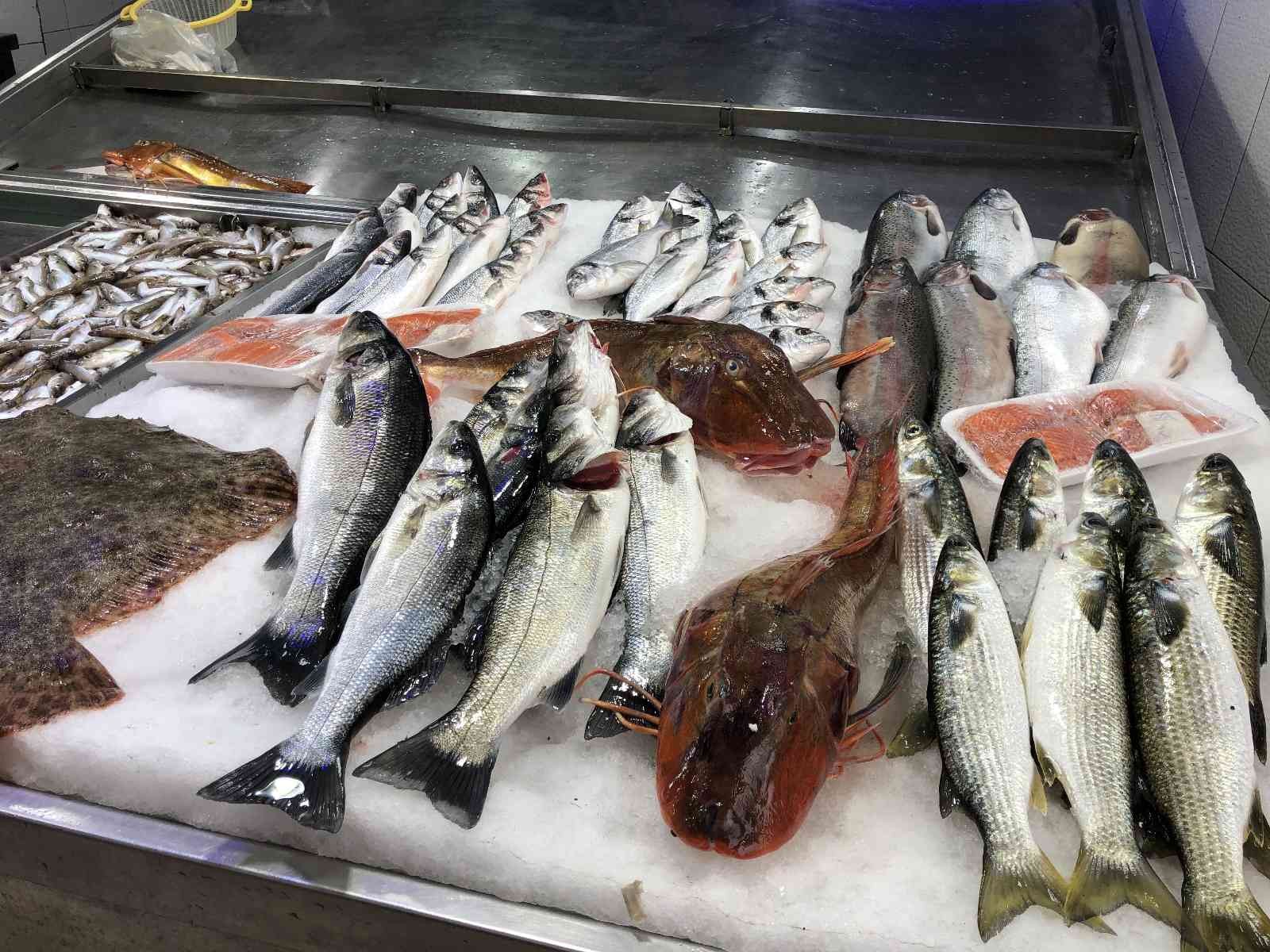 Kırlangıç balıkları, kilosu 250 liradan satılıyor