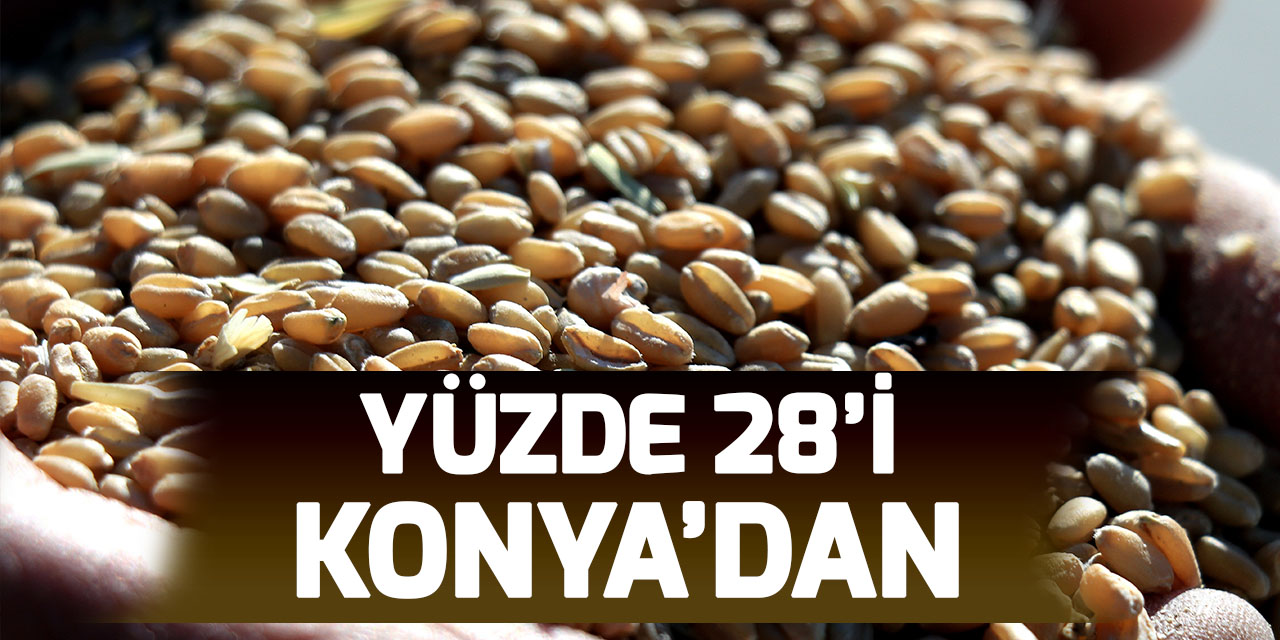 Türkiye'nin sertifikalı tohum üretimine Konya Ovası'ndan büyük katkı