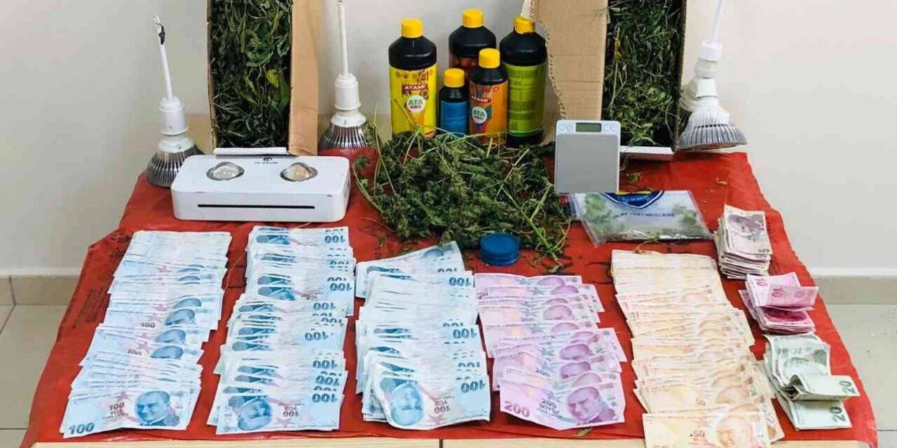 Uyuşturucu yetiştirmek için evine düzenek kuran şahıs yakalandı