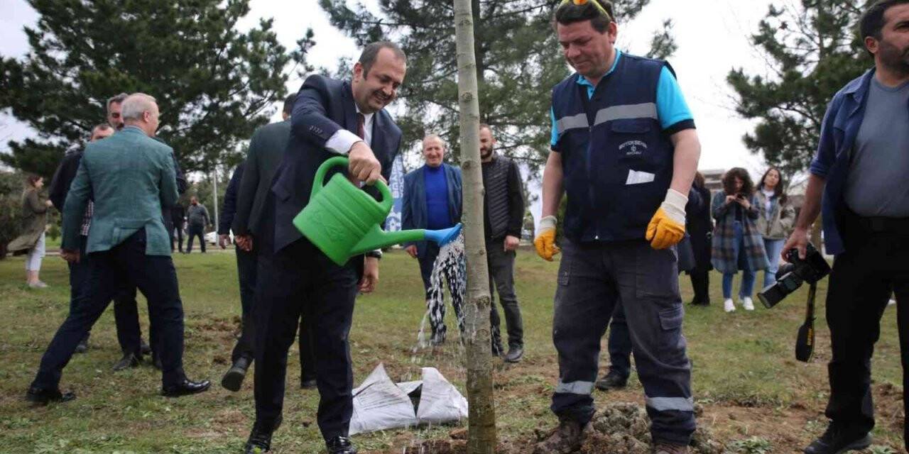 Başiskele’de 1000 ağaç fidanı toprakla buluştu