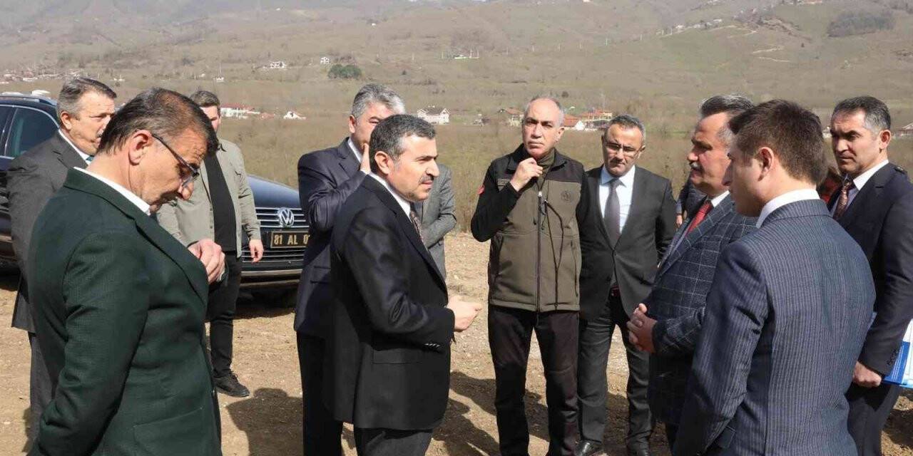 Cumayeri’nde sokak hayvanları için bakımevi yapılacak