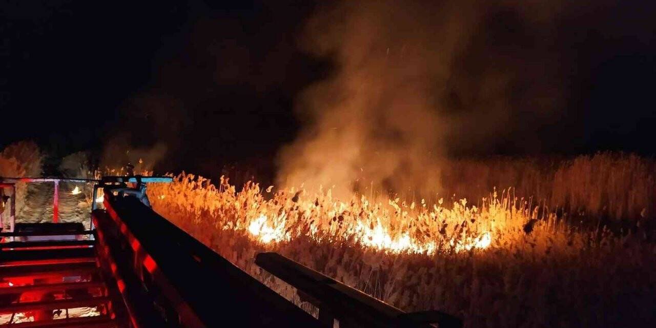Yangın zamanında müdahaleyle kavak ağaçlarına sıçramadan söndürüldü