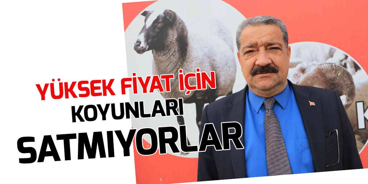 Aracılar koyunları ahırda tutup fiyat yükseltiyor