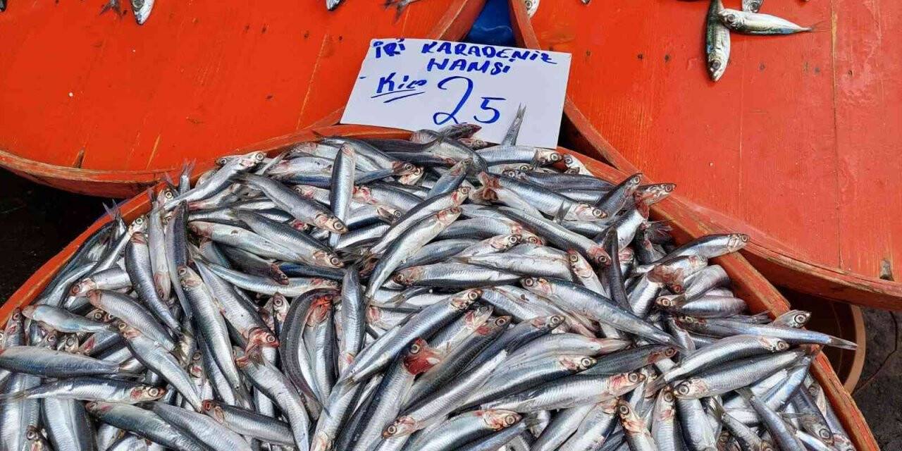 Mayınlara inat hamsi ve istavritin kilosu 25 liraya düştü